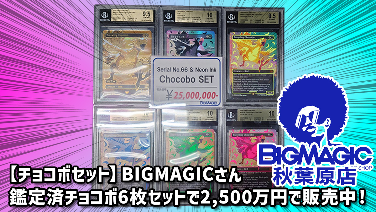チョコボセット】BIGMAGICさん 鑑定済チョコボ6枚セットで2,500万円で